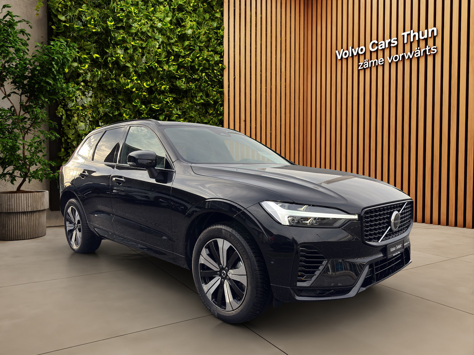 VOLVO XC60 2.0 T6 TE Plus Dark eAWD, Hybride Rechargeable Essence/Électricité, Occasion / Utilisé, Automatique - 6