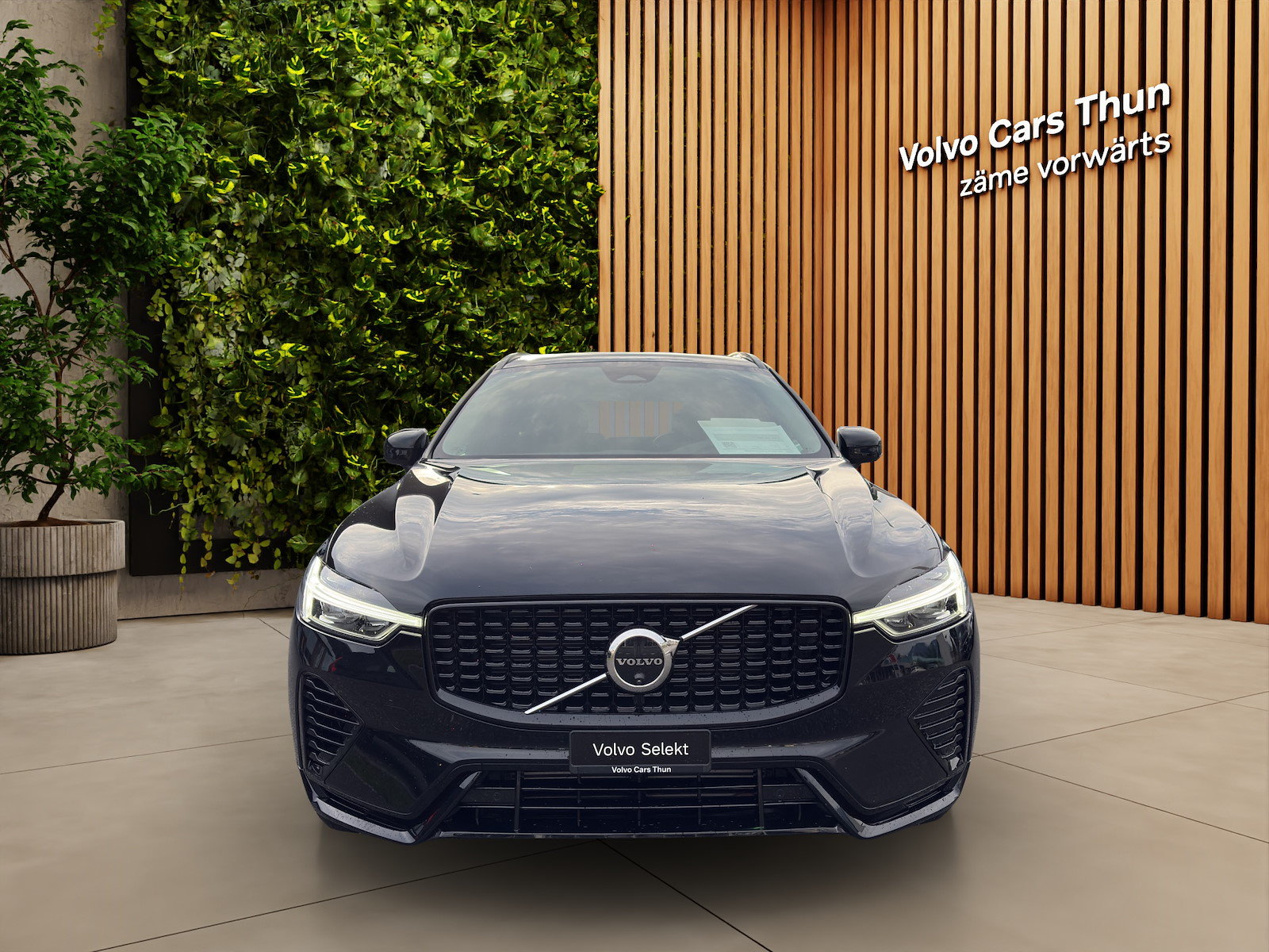 VOLVO XC60 2.0 T6 TE Plus Dark eAWD, Hybride Rechargeable Essence/Électricité, Occasion / Utilisé, Automatique - 7