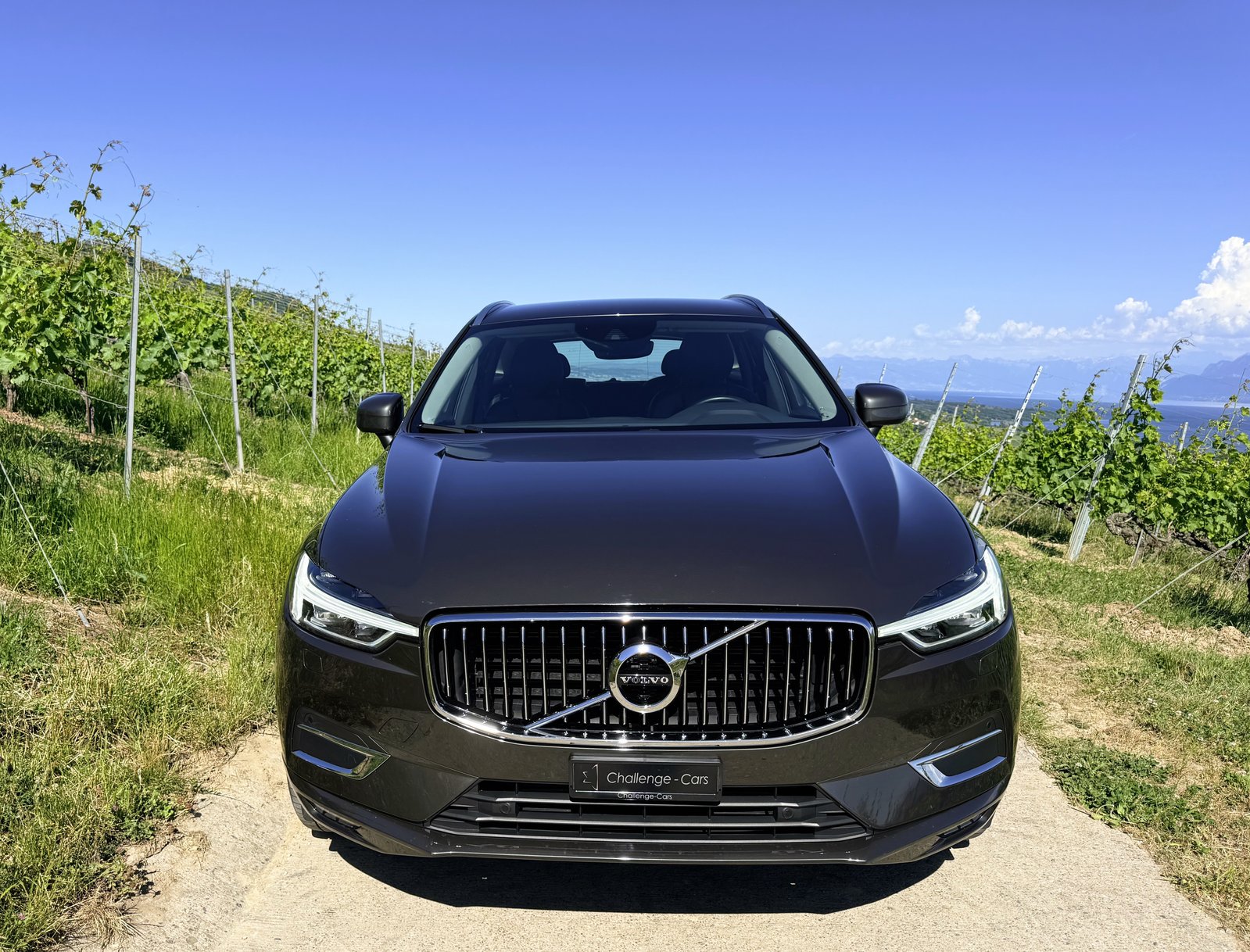VOLVO XC60 D5 AWD Inscription Geartronic, Diesel, Occasion / Gebraucht, Automatik - 3
