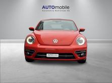 VW New Beetle Cabriolet 1.2 TSI BMT Design DSG, Essence, Occasion / Utilisé, Automatique - 3