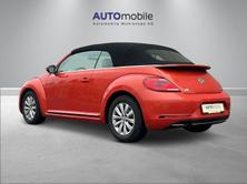 VW New Beetle Cabriolet 1.2 TSI BMT Design DSG, Essence, Occasion / Utilisé, Automatique - 5