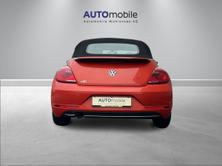 VW New Beetle Cabriolet 1.2 TSI BMT Design DSG, Essence, Occasion / Utilisé, Automatique - 6