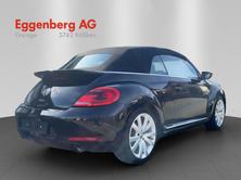 VW Beetle 2.0 TSI BMT Sport, Occasion / Gebraucht, Automat - 5