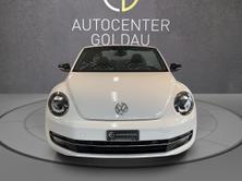 VW New Beetle Cabrio 2.0 TSI Sport DSG, Benzina, Occasioni / Usate, Automatico - 6