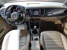 VW New Beetle Cabriolet 1.4 TSI BMT Design, Benzin, Occasion / Gebraucht, Handschaltung - 7