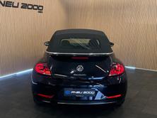 VW Beetle Cabriolet 1.2 TSI BMT Design DSG *CH*, Benzina, Occasioni / Usate, Automatico - 6
