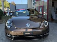 VW Beetle Cabrio 1.4 TSI Design DSG, Benzina, Occasioni / Usate, Automatico - 2