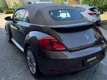 VW Beetle Cabrio 1.4 TSI Design DSG, Benzina, Occasioni / Usate, Automatico - 5
