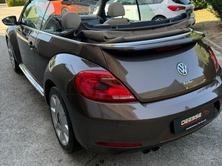 VW Beetle Cabrio 1.4 TSI Design DSG, Benzina, Occasioni / Usate, Automatico - 6