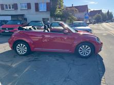 VW Beetle Cabrio 1.2 TSI BMT Design DSG, Benzina, Occasioni / Usate, Automatico - 7
