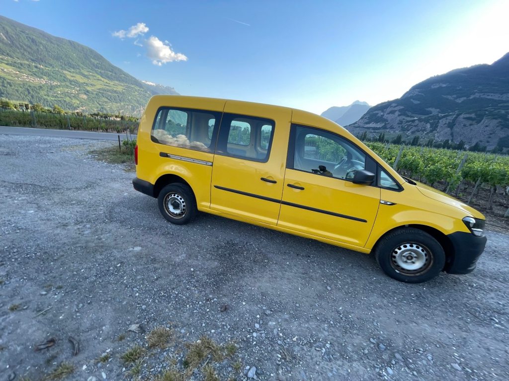 VW CADDY 2.0 MAXI TDI 122 BMT 4motion, Diesel, New car, Manual - 6
