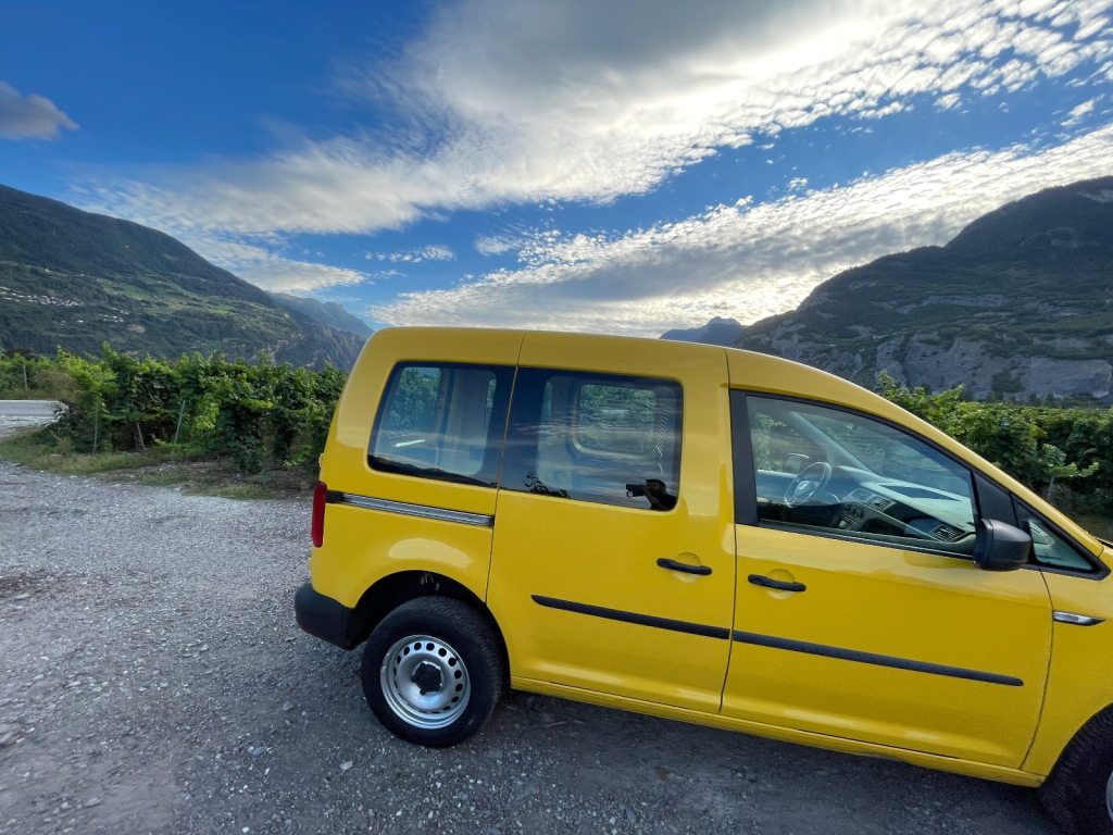 VW 2.0 TDI 122 BMT 4motion, Diesel, Occasion / Utilisé, Manuelle - 5