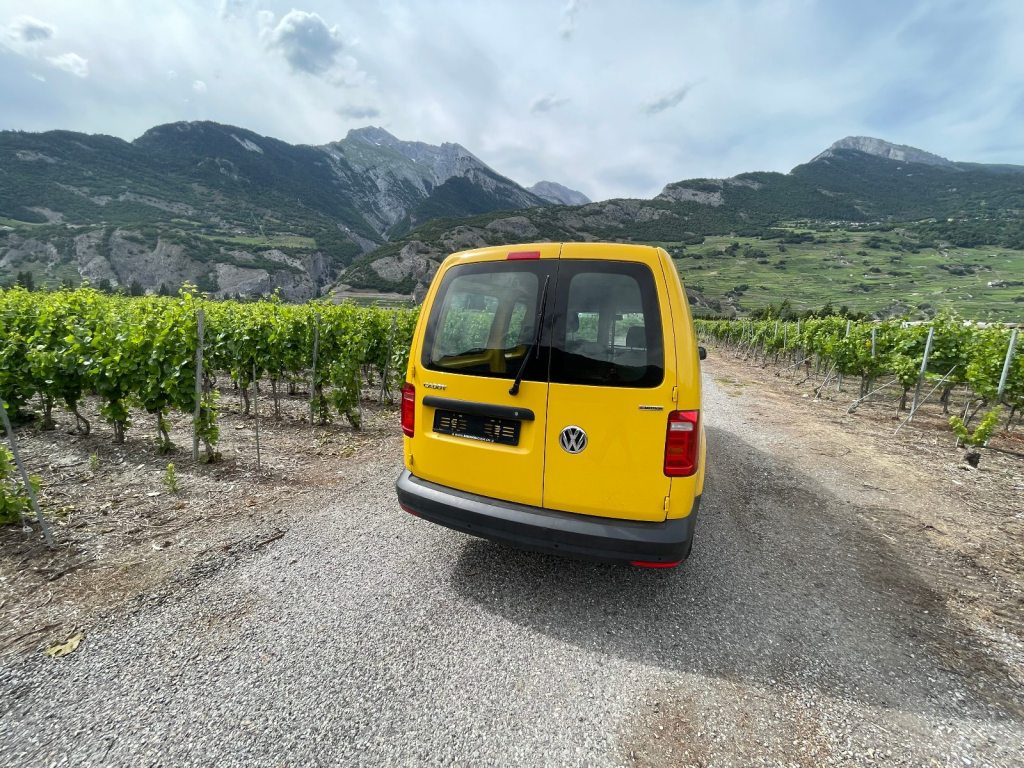 VW CADDY 2.0 MAXI TDI 150 BMT DSG 4motion, Diesel, Occasion / Utilisé, Automatique - 7