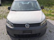 VW 2.0 EcoFuel, Liquid Gas (LPG) / Petrol, Second hand / Used, Manual - 2