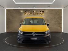 VW VW Caddy Maxi 1.0TSI BlueMotion Technology, Benzina, Occasioni / Usate, Manuale - 2