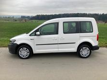 VW Caddy 2.0TDI 4Motion BlueMotion Technology, Diesel, Occasioni / Usate, Manuale - 5