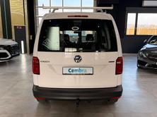 VW Caddy 2.0TDI 4Motion BlueMotion Technology, Diesel, Occasion / Gebraucht, Handschaltung - 6