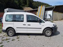 VW 2.0 EcoFuel, Liquid Gas (LPG) / Petrol, Second hand / Used, Manual - 4
