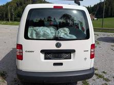 VW 2.0 EcoFuel, Liquid Gas (LPG) / Petrol, Second hand / Used, Manual - 6