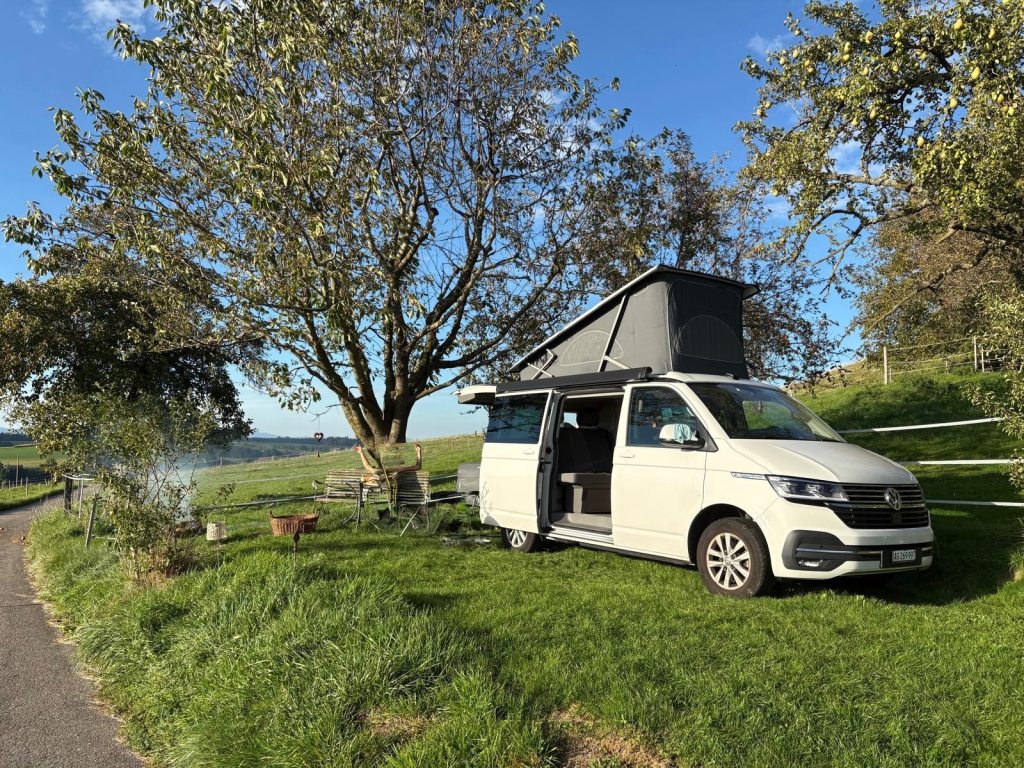 VW CALIFORNIA 2.0 TDI 150 Ocean Liberty DSG, Diesel, Occasion / Utilisé, Automatique - 6