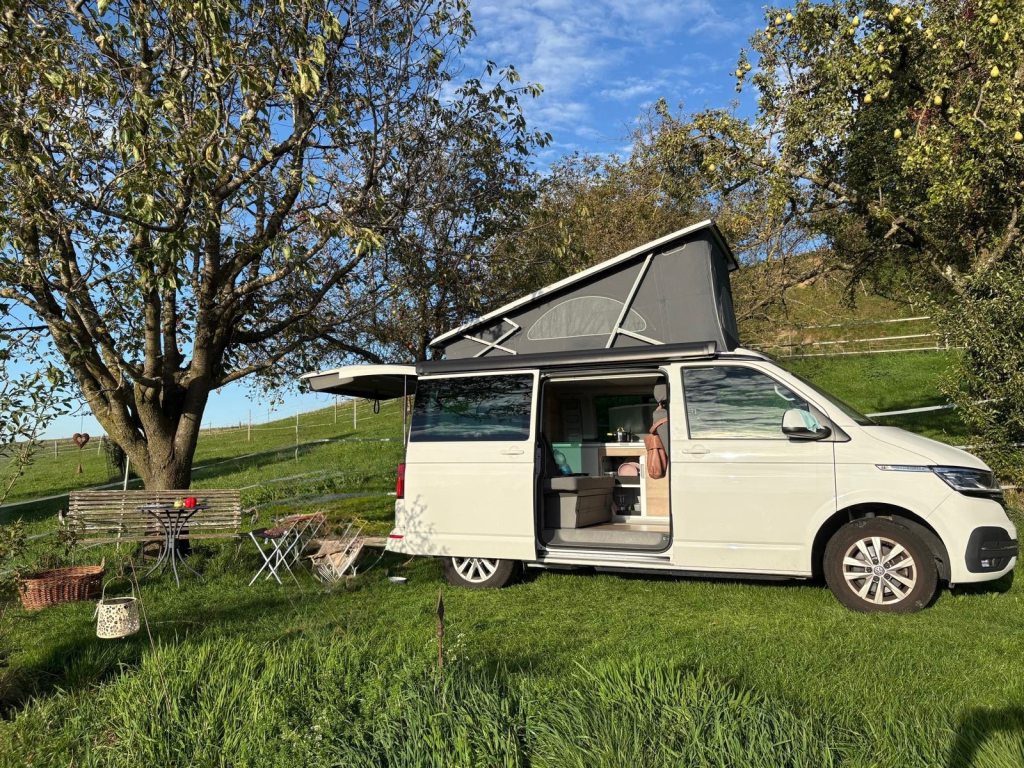 VW CALIFORNIA 2.0 TDI 150 Ocean Liberty DSG, Diesel, Occasion / Utilisé, Automatique - 3