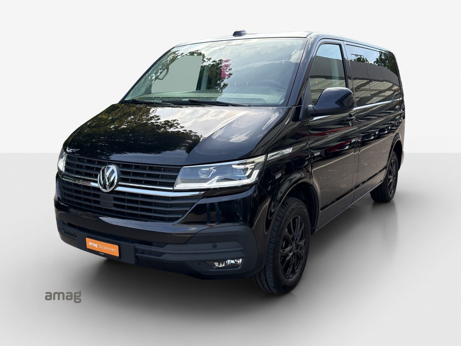 VW Caravelle 6.1 Trendline Liberty RS 3000 mm