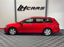 VW Golf VII Variant 1.6 TDI BlueM Comfortline, Diesel, Occasioni / Usate, Manuale - 2
