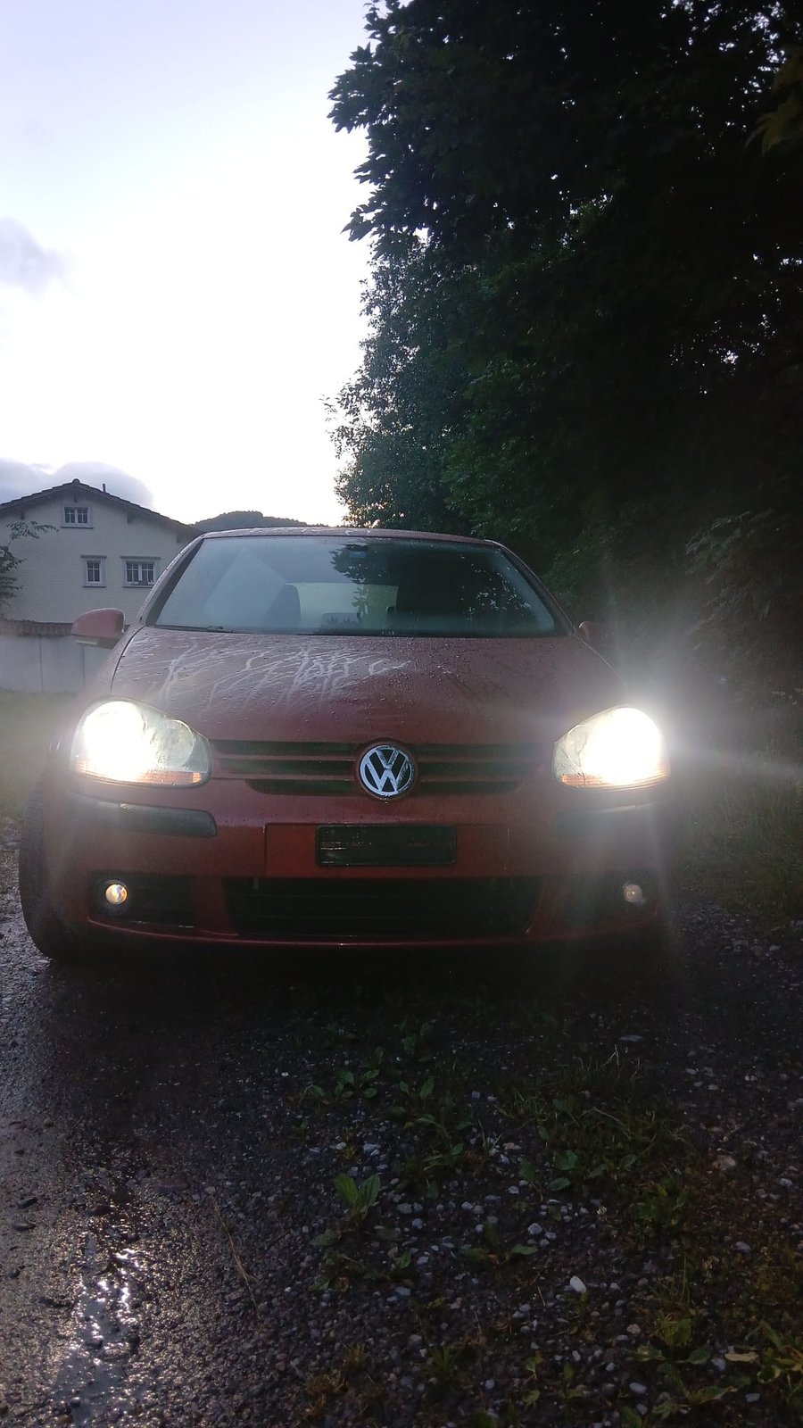 VW GOLF, Diesel, Occasion / Utilisé, Manuelle - 7