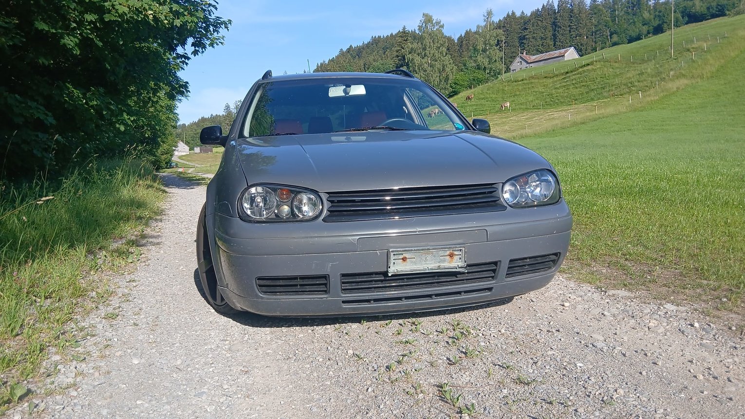 VW GOLF, Diesel, Occasion / Utilisé, Manuelle - 2