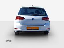 VW Golf Trendline, Essence, Occasion / Utilisé, Manuelle - 6