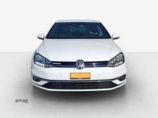 VW Golf Comfortline EVO BlueMotion, Benzina, Occasioni / Usate, Automatico - 5