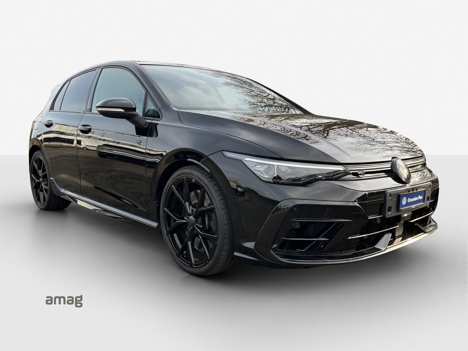 VW Golf PA R, Benzin, Occasion / Gebraucht, Automat - 6