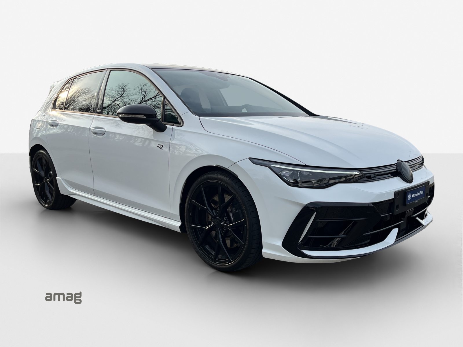 VW Golf PA R, Benzin, Occasion / Gebraucht, Automat - 6