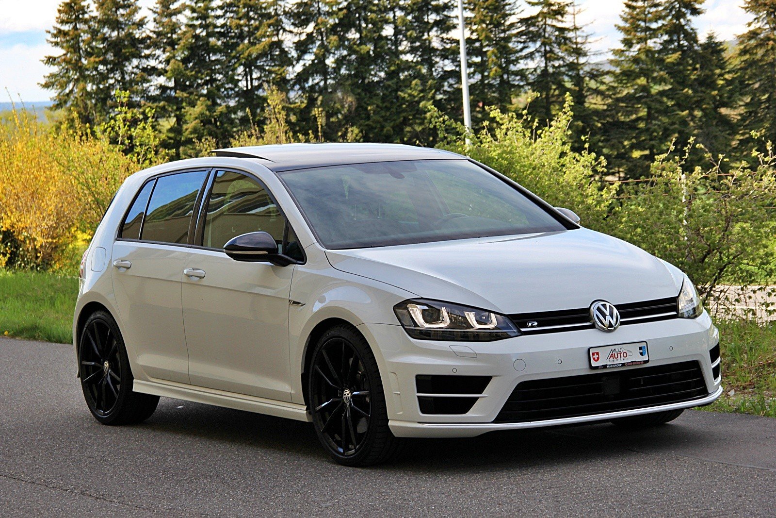 VW Golf 2.0 TSI R 4Motion DSG, Benzina, Occasioni / Usate, Automatico - 7