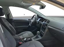 VW Golf 1.5 TSI EVO DSG *Carplay/RF-Kamera*, Benzina, Occasioni / Usate, Automatico - 6