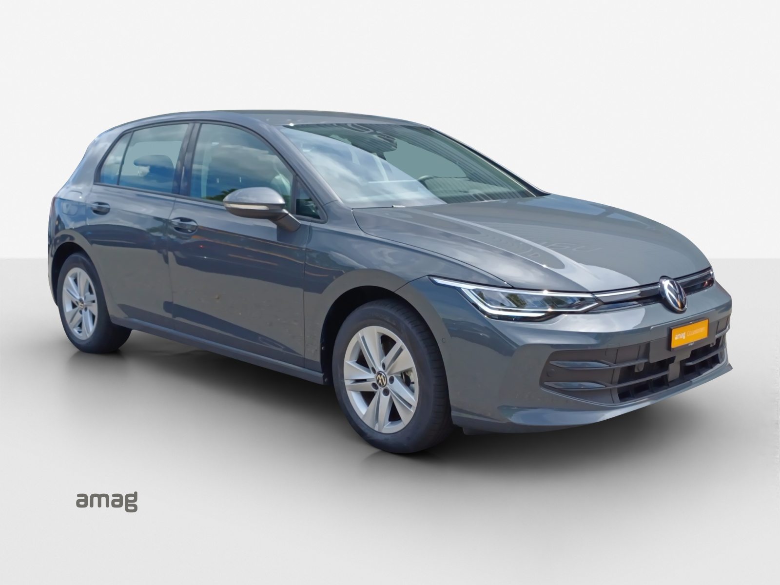 VW Golf PA Life, Benzina, Occasioni / Usate, Automatico - 6