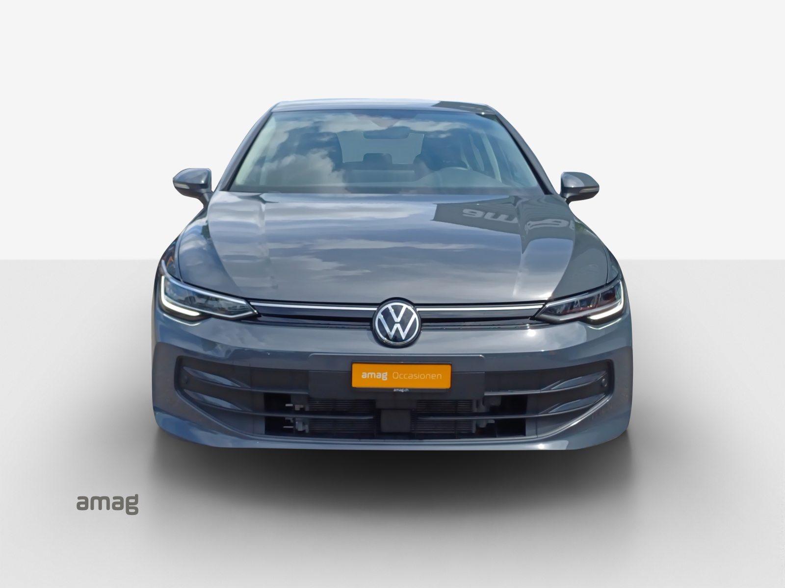 VW Golf PA Life, Benzina, Occasioni / Usate, Automatico - 7