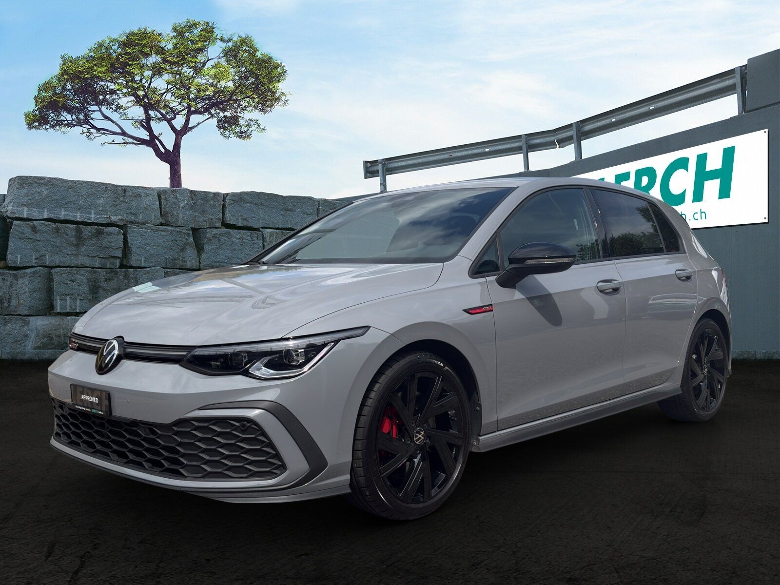 VW Golf VIII 2.0 TSI GTI DSG