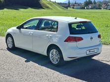VW Golf 1.4 TSI Cup *8-fach bereift+ab MFK*, Essence, Occasion / Utilisé, Manuelle - 3