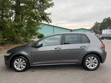 VW Golf 1.5 TSI EVO Edition 45 DSG, Essence, Occasion / Utilisé, Automatique - 2