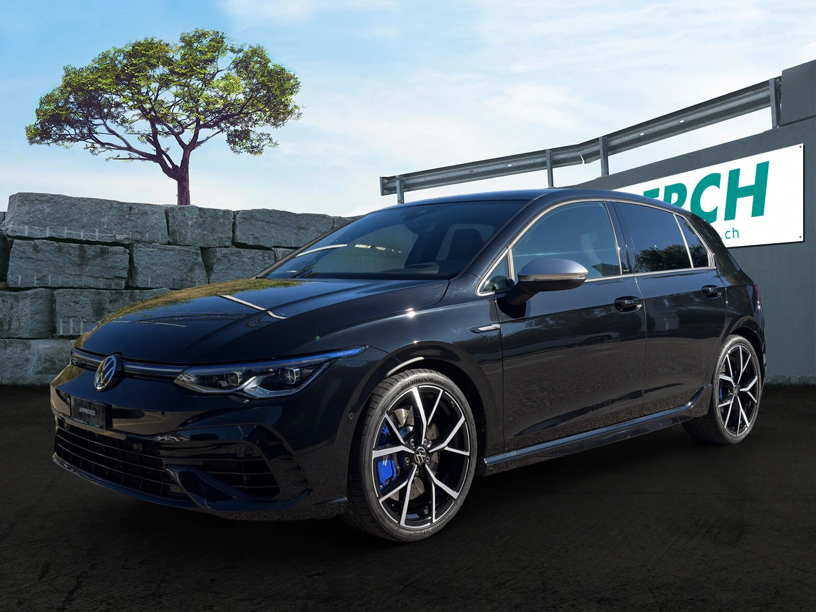 VW Golf VIII 2.0 TSI R DSG 4motion