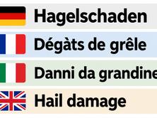 VW Golf 2.0 TSI R 4Motion DSG, Benzina, Occasioni / Usate, Automatico - 2