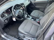 VW GOLF 1.4 TSI 125 Highline DSG, Benzina, Occasioni / Usate, Automatico - 7