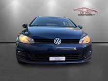 VW Golf Variant 1.6 TDI Comfortline DSG, Diesel, Occasioni / Usate, Automatico - 2