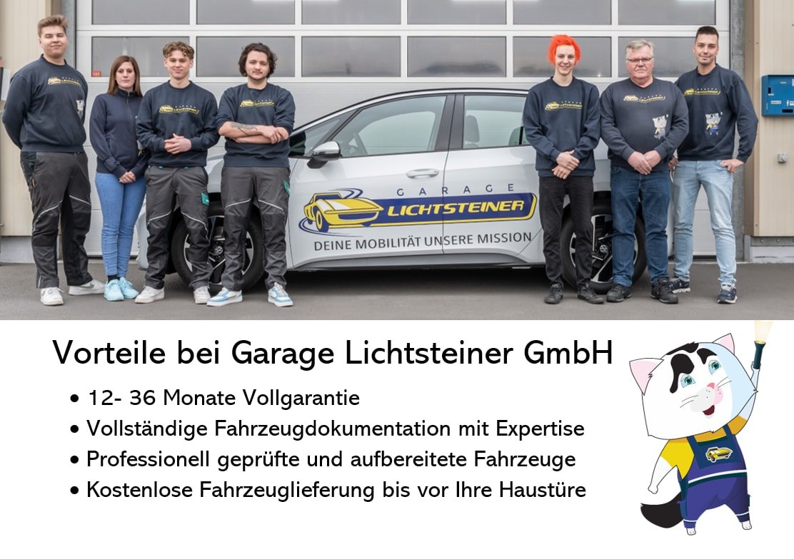 VW ID.Buzz NWB Pro inkl. Winterkompletträder, Électrique, Occasion / Utilisé, Automatique - 5