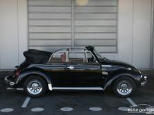 VW Käfer 1300 L, Essence, Voiture de collection, Manuelle - 6