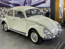 VW Käfer 11-1200, Benzina, Occasioni / Usate, Manuale - 4