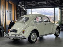 VW Käfer 11-1200, Essence, Occasion / Utilisé, Manuelle - 5