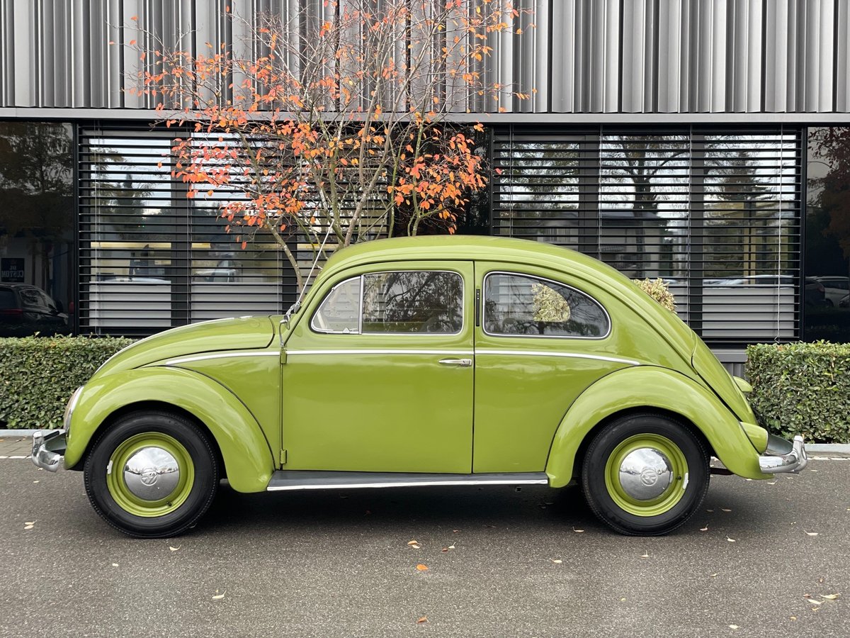 VW Käfer Brezel, Essence, Occasion / Utilisé, Manuelle - 2