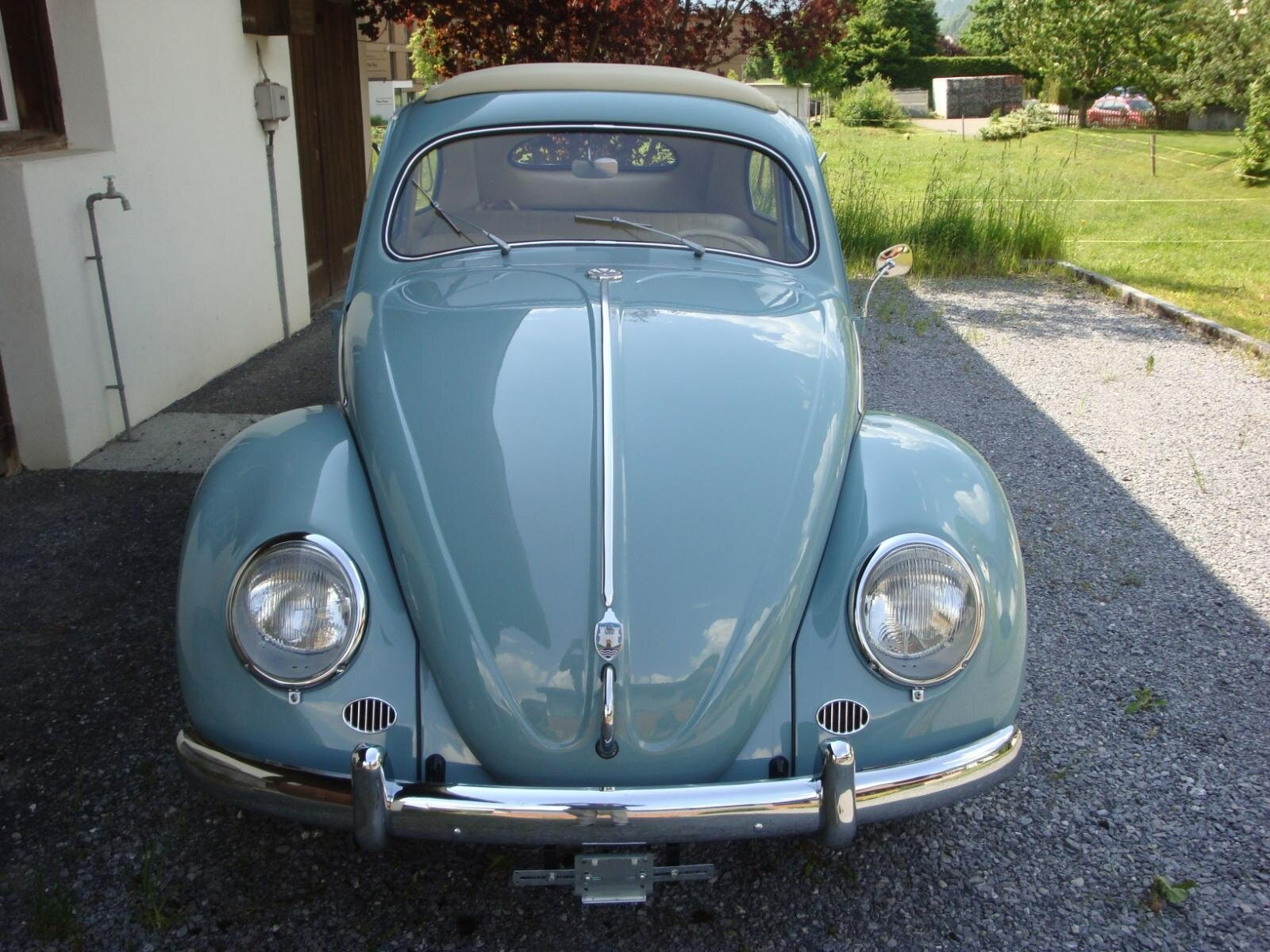 VW Käfer Ovali